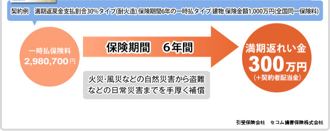 火災・風災などの自然災害から盗難などの日常災害までを手厚く補償