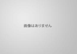 経営規模等評価申請書(セット)